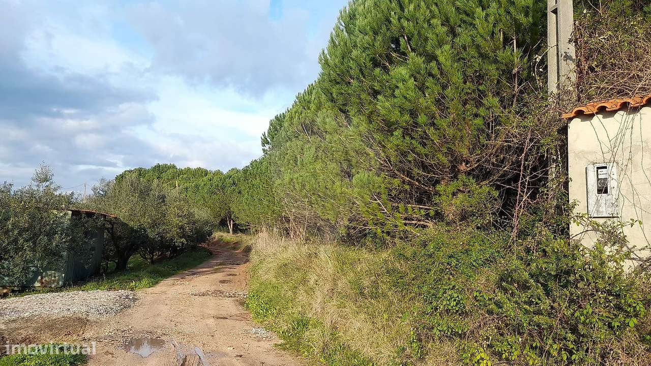 Terreno  para venda - Grande imagem: 5/13