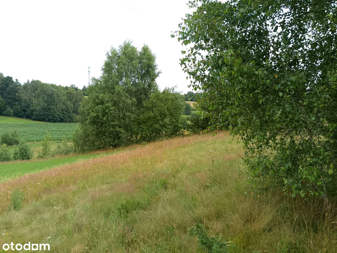 Działka, 1 500 m², Nowa Wieś Przywidzka-4