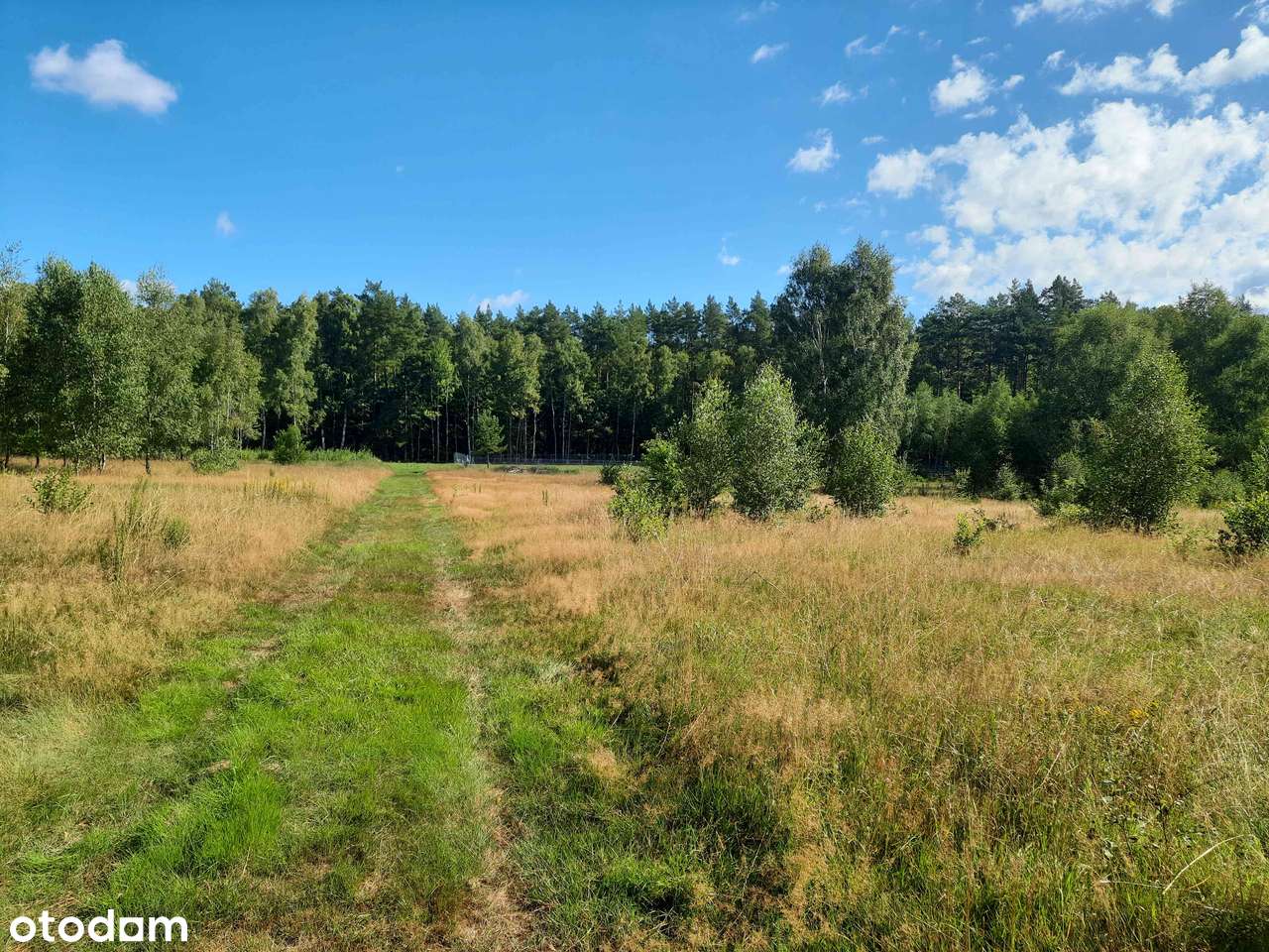 Działka budowlana koło Goleniowa - 3220m2 - Pełny obrazek: 2/7