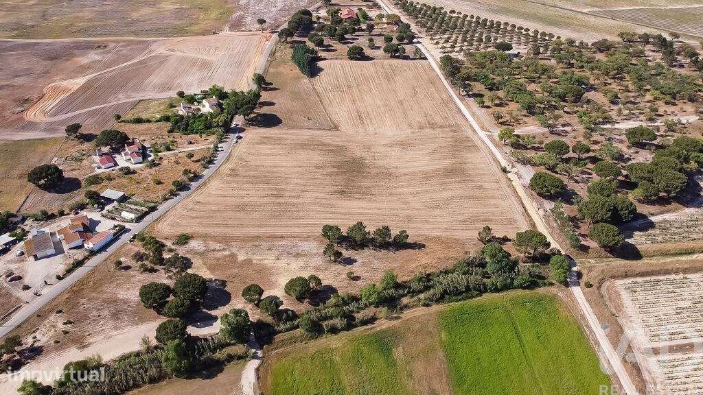 Terreno em Pegões de 31738,00 m2 - Grande imagem: 5/18