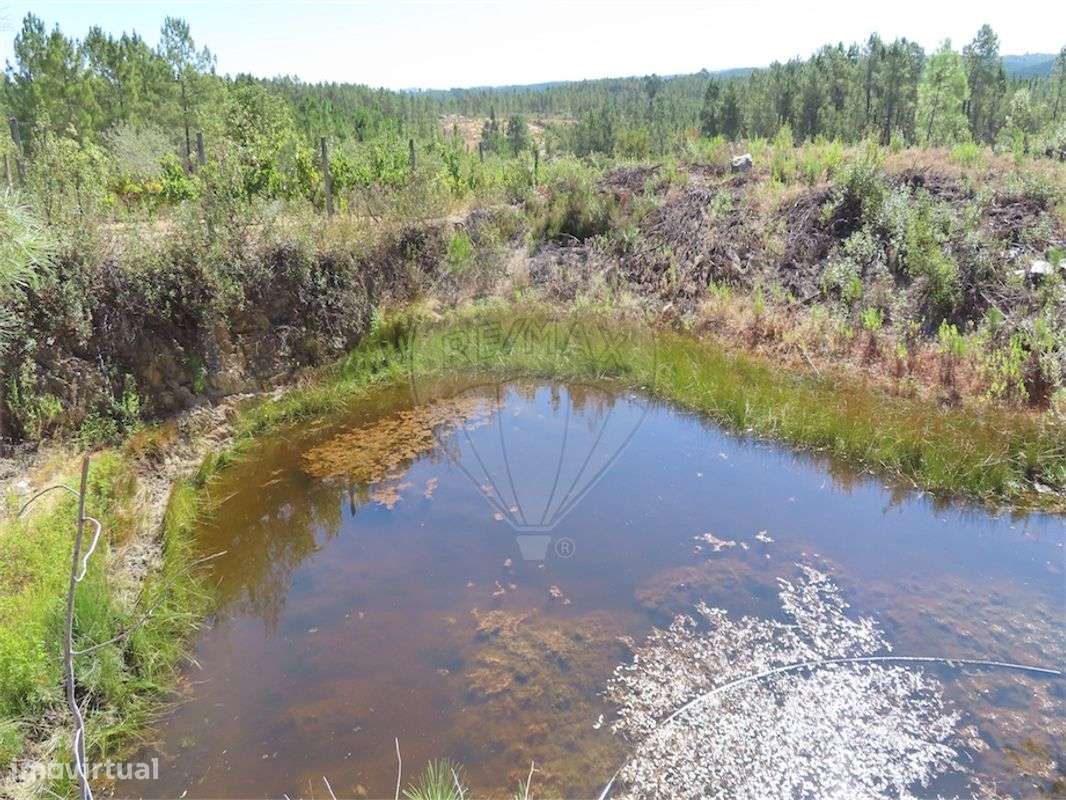 Quinta  para venda - Grande imagem: 4/27