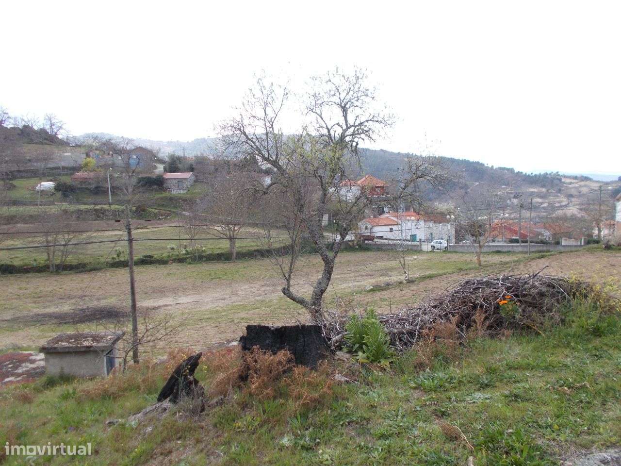 Moradia e Terreno 13442 m2 Pereiro Agrações-24