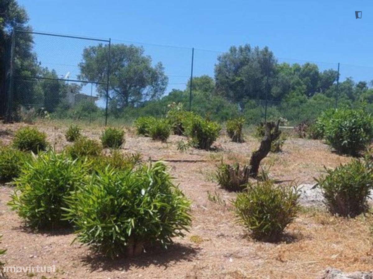 Quarto - localizado em Faro - Grande imagem: 3/10