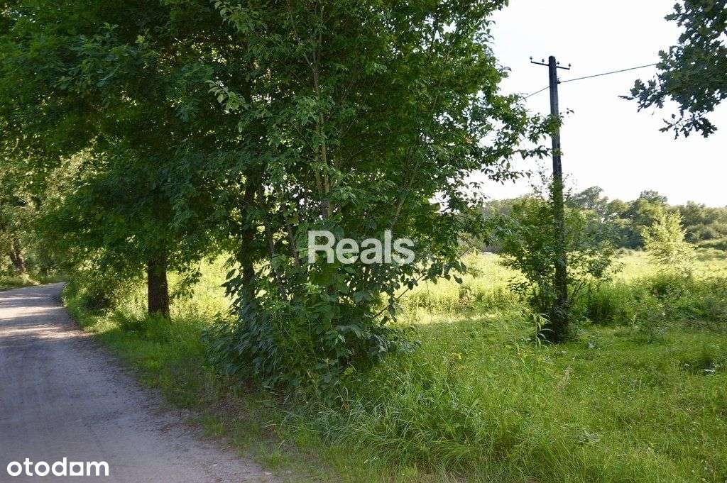 Dla inwestora 2 ha Skierdy, Jabłonna. - Pełny obrazek: 5/8