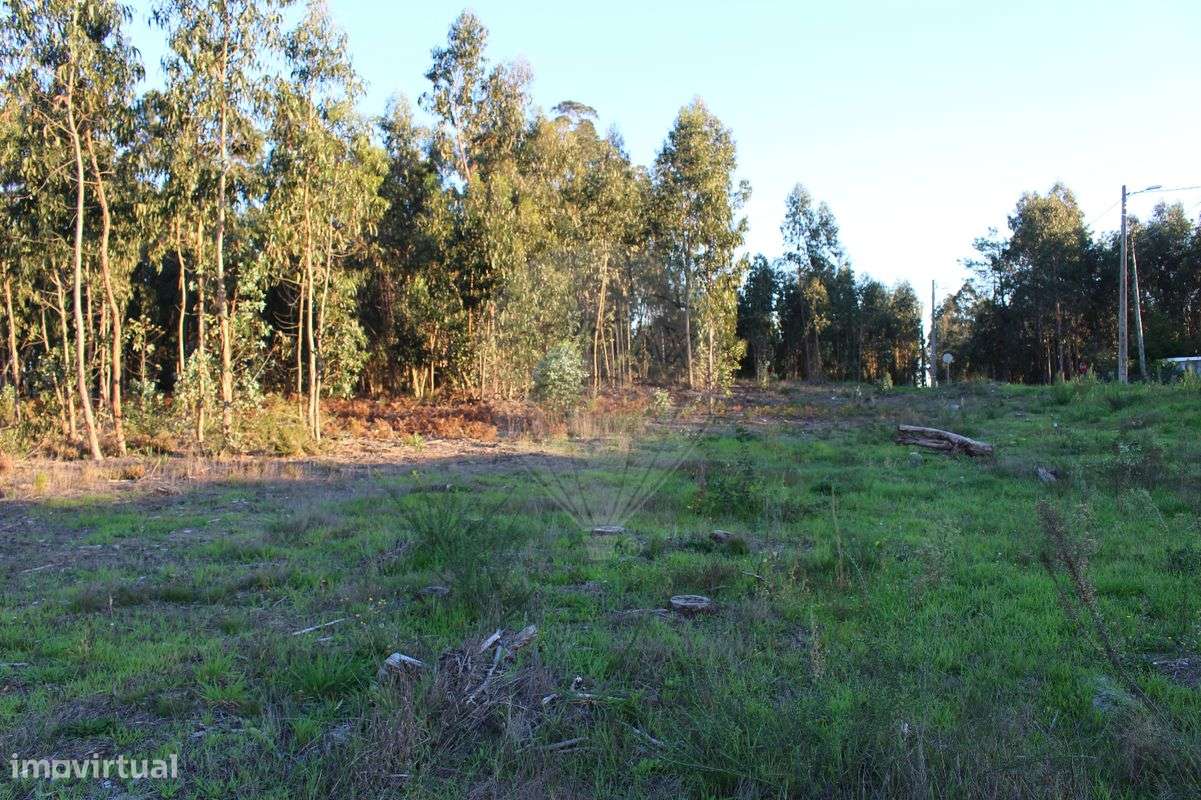 Terreno  para Venda - Grande imagem: 4/7