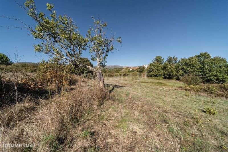 Herdade T6 / Covilhã, Boidobra-16