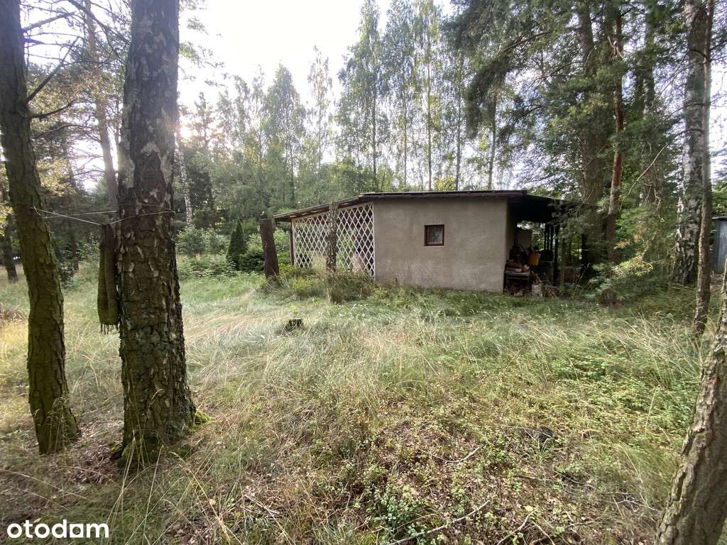 Działka Rekreacyjna z możliwością przekształcenia - Pełny obrazek: 5/8