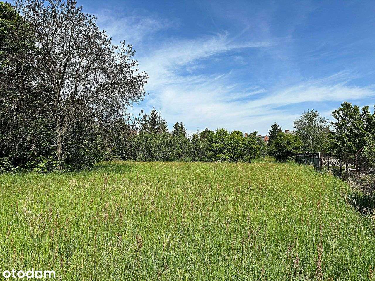 Dom mieszkalny, budynek użytkowy w Popielowie - Pełny obrazek: 3/20