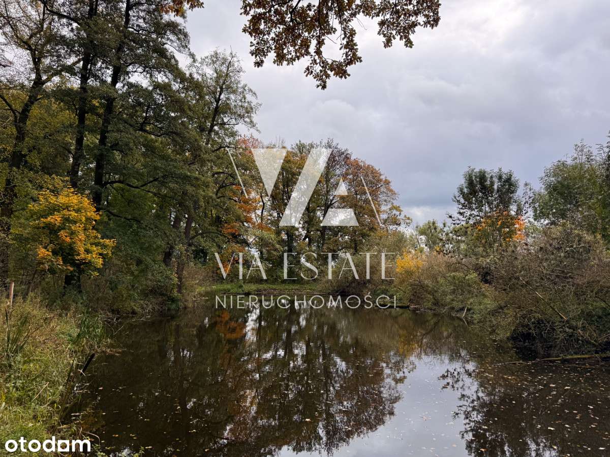 Pałac eklektyczny,zabytkowy park,stawy, do remontu-12