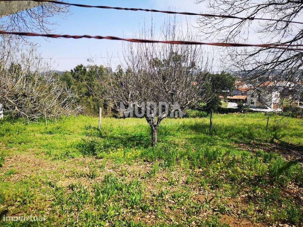 Terreno C/ 35m de Frente Com Viabilidade de Construção - Grande imagem: 3/12