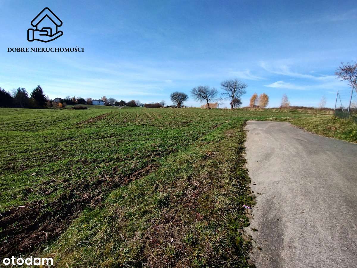 Snopków - działki pod dom/usługi/inwestycję - Pełny obrazek: 5/12