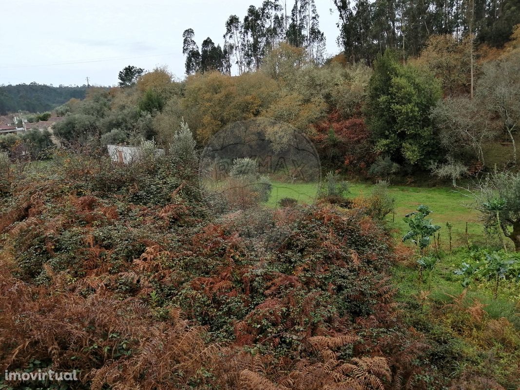 Terreno  para venda