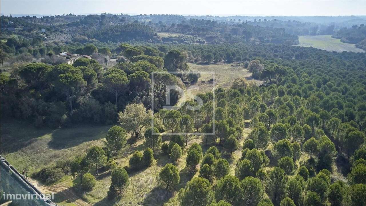 Terreno  Venda em Carregueiros,Tomar - Grande imagem: 4/8