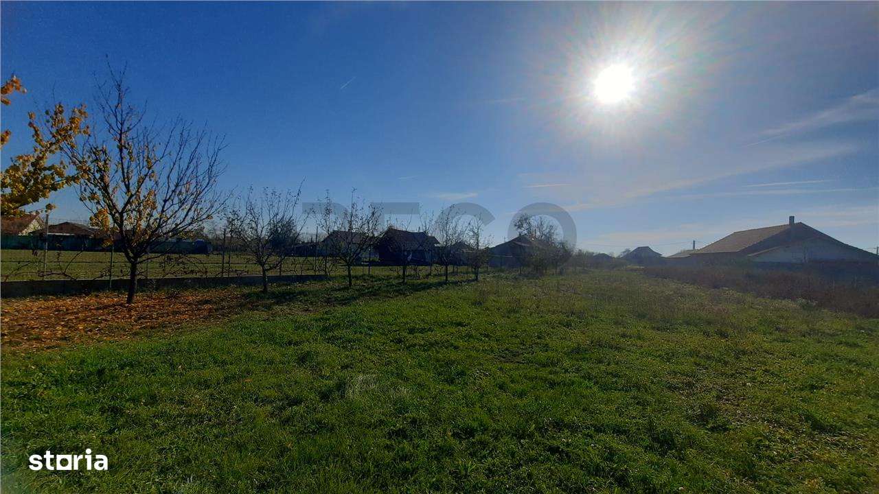 RECO Teren Les 2000mp - Imagine principală: 2/2