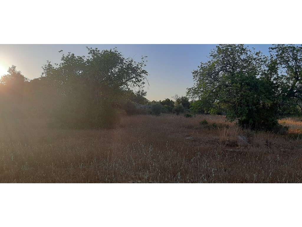 Terreno com projeto aprovado para Auto caravanismo em Cerro do Alpo... - Grande imagem: 3/23