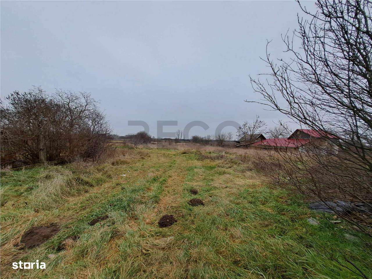 RECO Moara veche Ciumeghiu - Imagine principală: 5/7