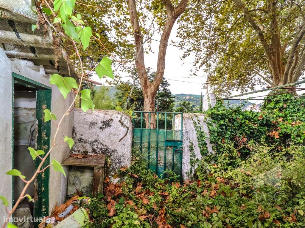 Moradia para reconstrução em Colares-18