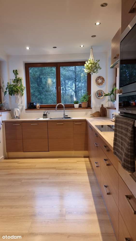 Gotowy do zamieszkania dom 5 pokoi + salon z kuchnią, działka 17 ar - Pełny obrazek: 4/20