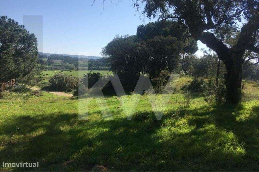 Herdade Exclusiva de 29 Hectares na Marateca, próxima de Águas de Mour - Grande imagem: 5/19