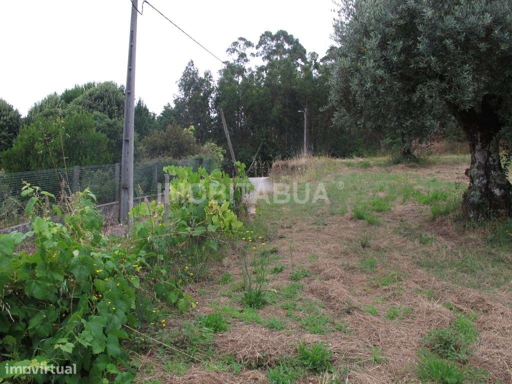 Moradia para recuperar - Grande imagem: 5/25