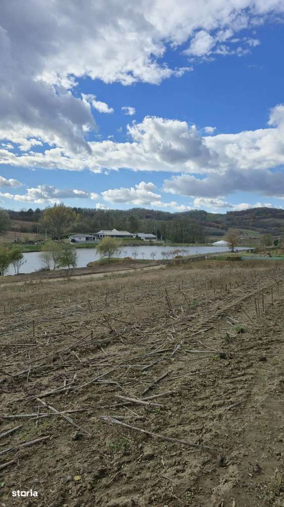 Teren intravilan în Mediaș, lângă Heleșteu-5