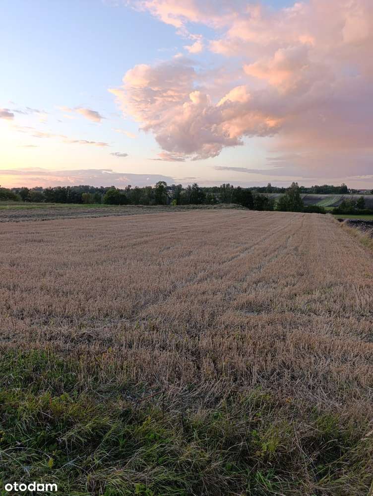 Działka przy Lesie- 7 km od Uzdrowiska BuskoZdrój 30ar lub 60ar! - Pełny obrazek: 5/9