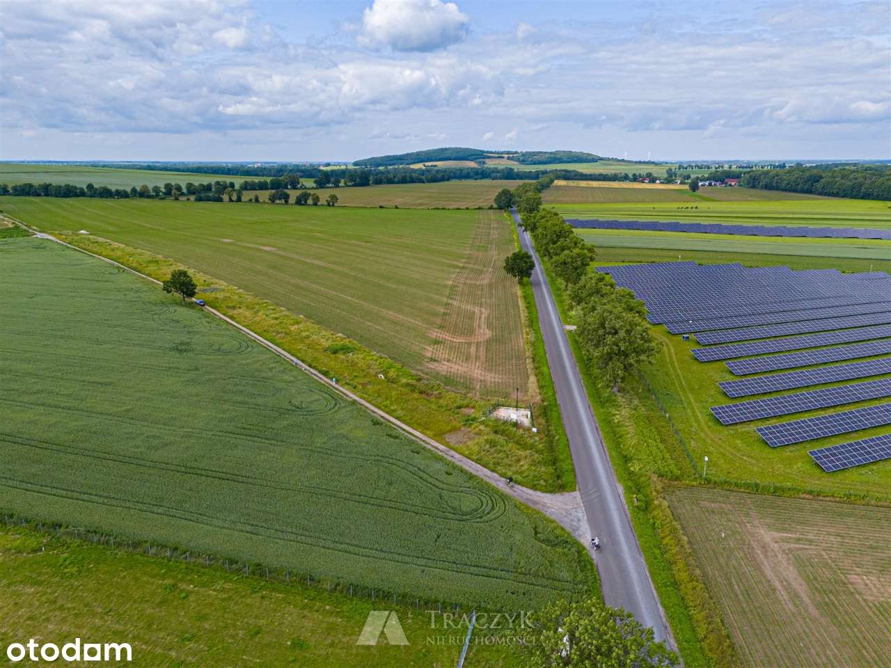 Działka przemysłowa, wszystkie media, ponad 1,5 H - Pełny obrazek: 4/9