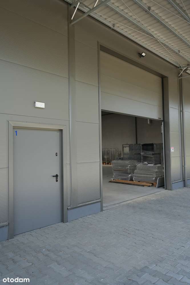 Hala Mielec Magazyn/Usługa Mag./Powierzchnia Mag.  1000m2 - Pełny obrazek: 5/6