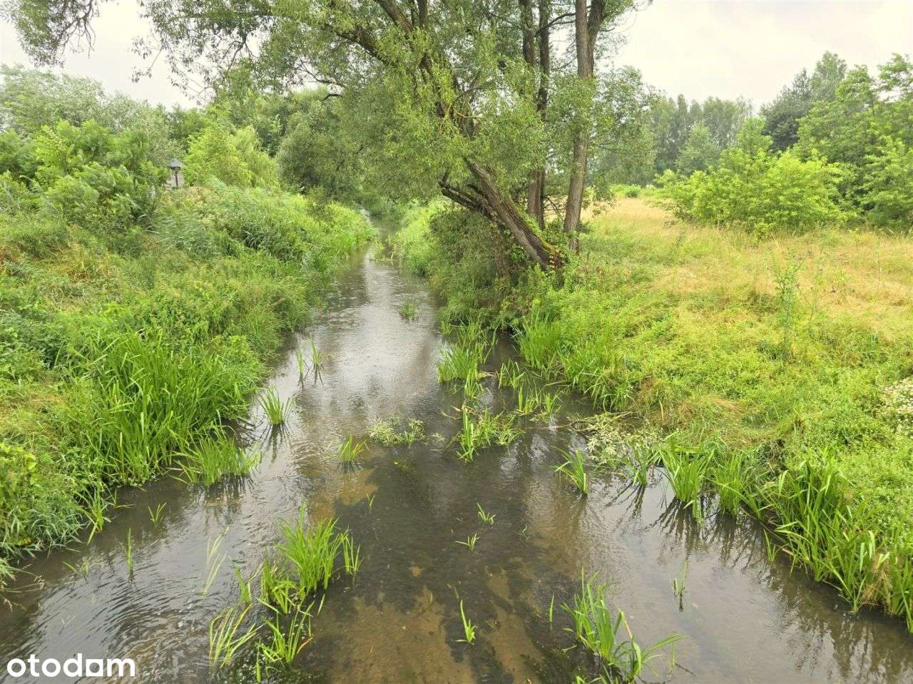 Urokliwa okolica leśny klimat super dojazd Warszwa-6