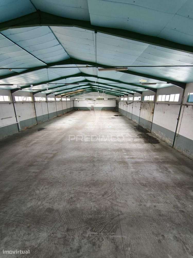 Armazém Zona Industrial de Oiã - Grande imagem: 2/22