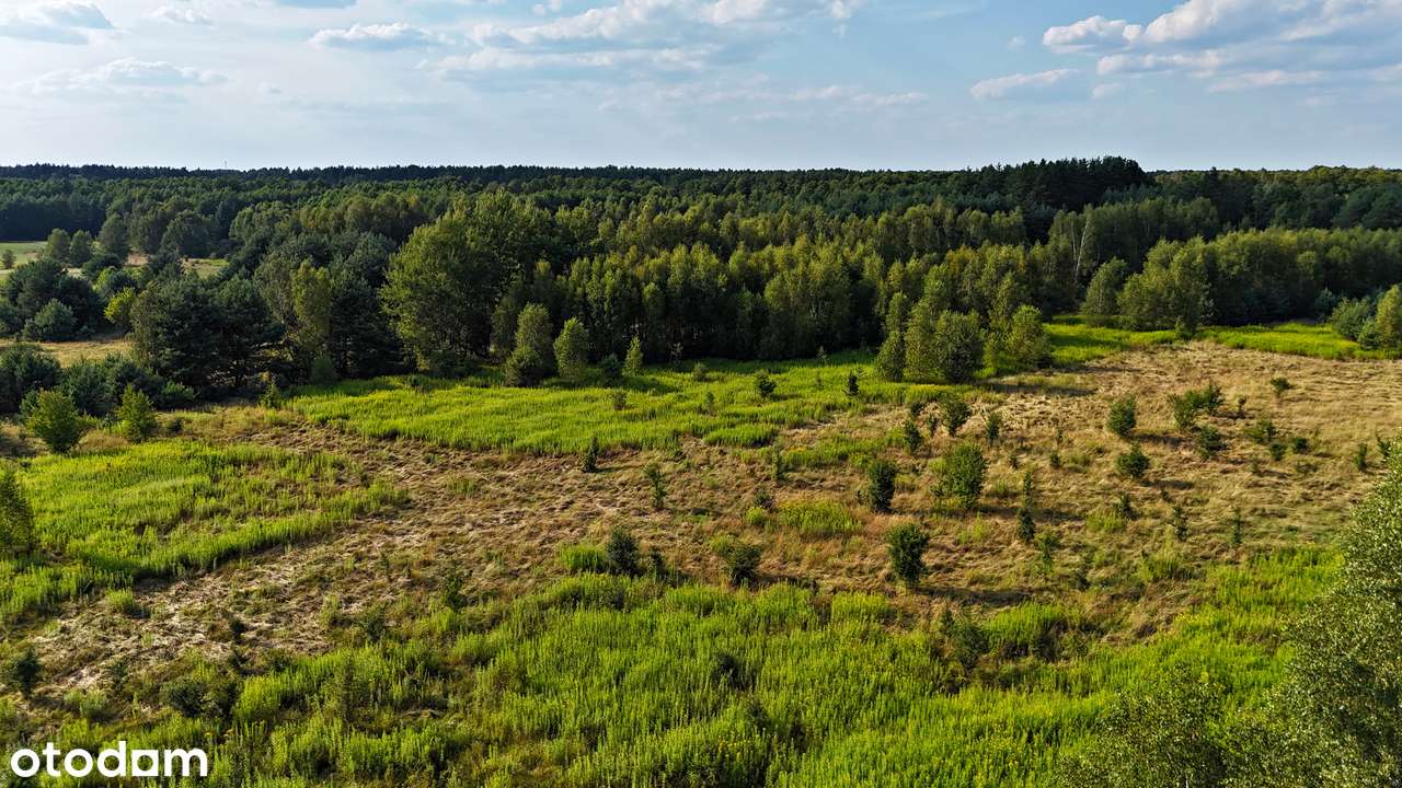 Działki budowlane pod lasem 1000m2-6