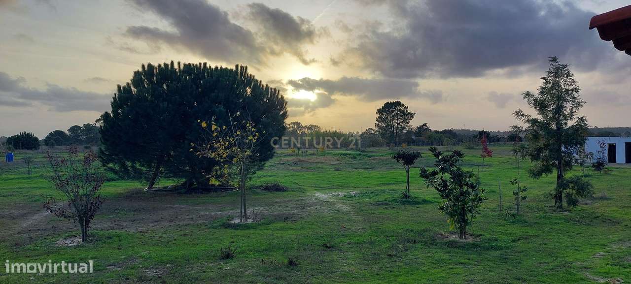 Quinta com Moradia para vender na Herdade de Almada em Foros de Almada-34