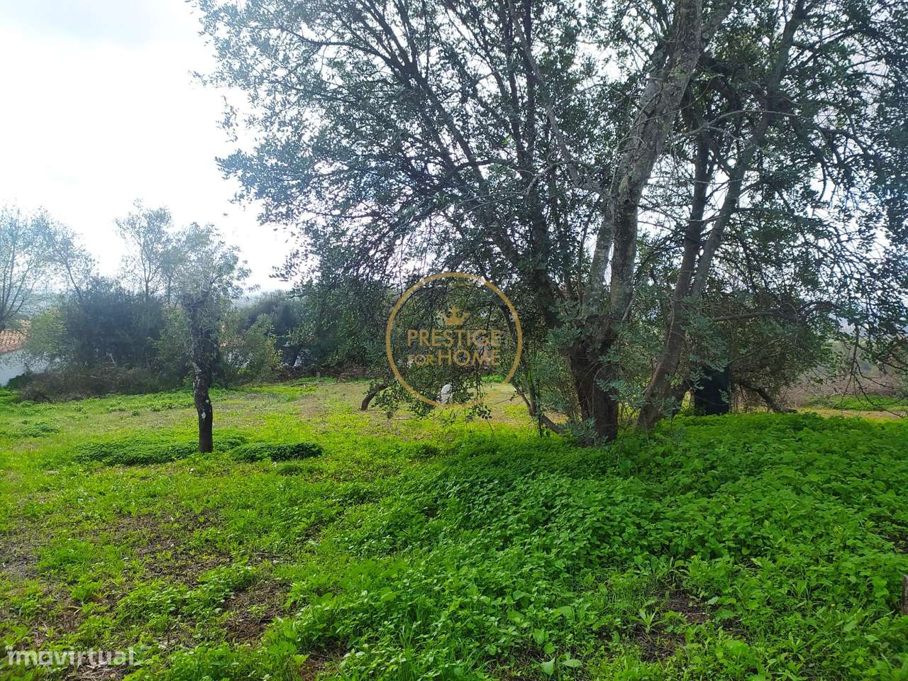 Ruina com 80m2 + terreno rústico 270m2 +pré-fabricado com usufruto de - Grande imagem: 5/19