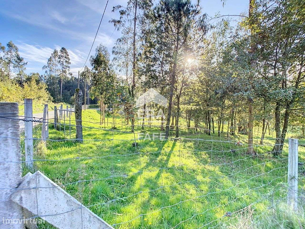 Terreno, 7 320 m², Rego - Grande imagem: 5/10