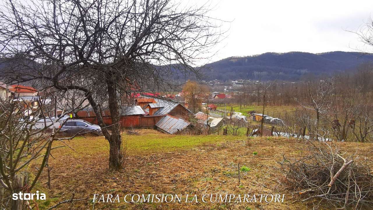 VLADESTI - LOT TEREN BINE AMPLASAT-3