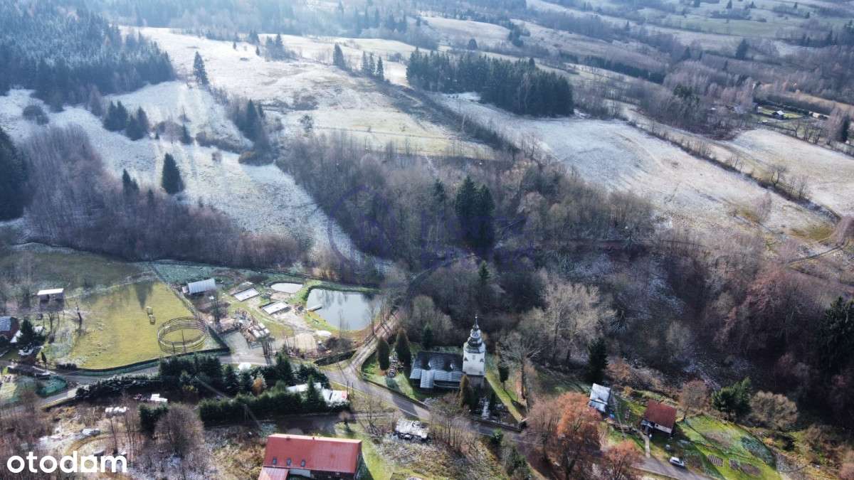 Działka 1 ha | Turystyka | Góry Sowie - Pełny obrazek: 4/6