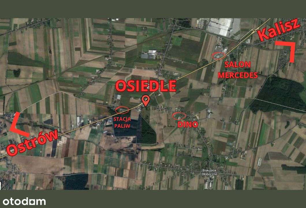 Osiedle pod lasem 800-1500m2 w Biskupicach Ołobocznych Ostrów Kalisz - Pełny obrazek: 5/7