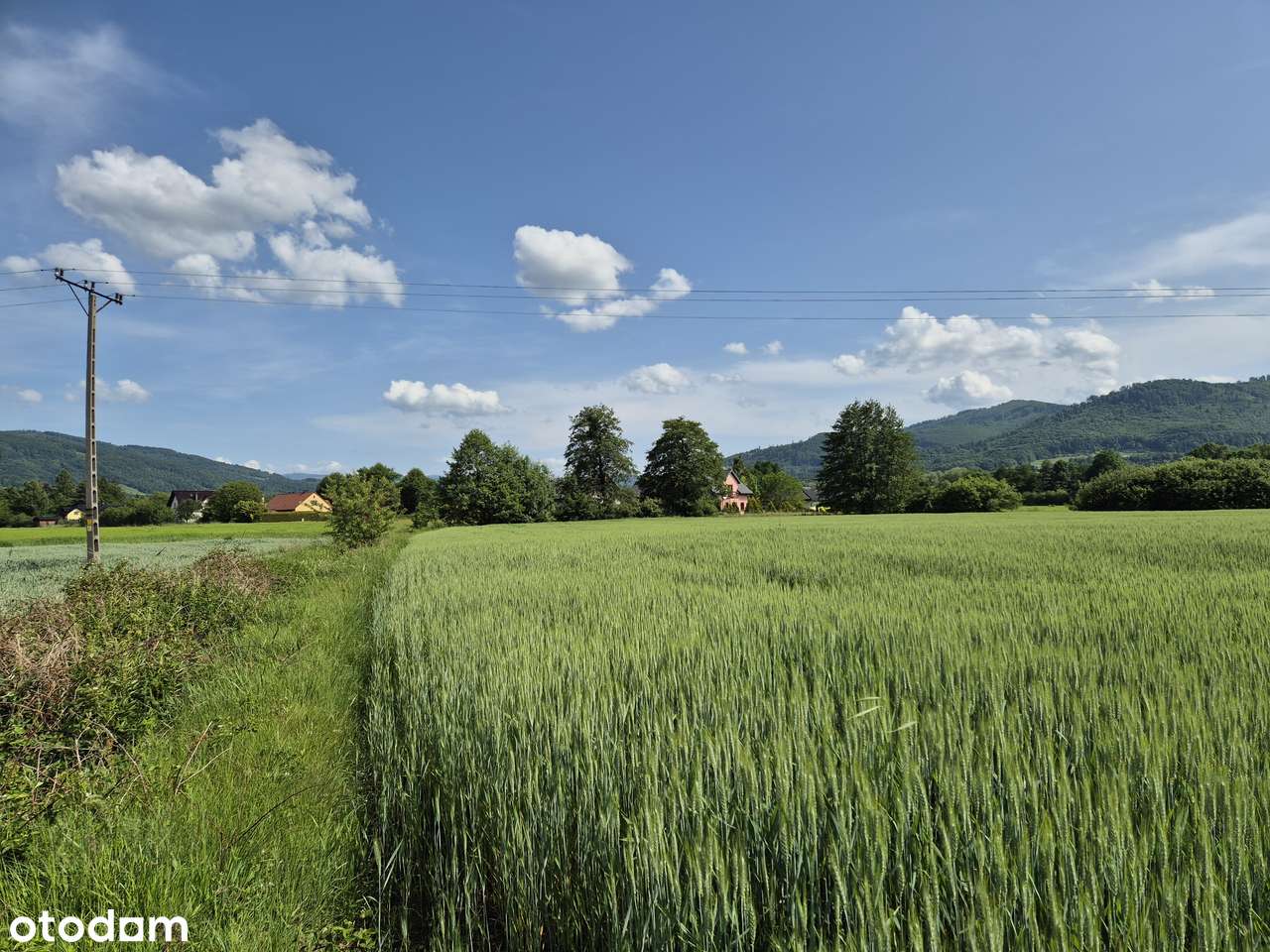 miejsce na dom i wszystko inne... - Pełny obrazek: 5/9