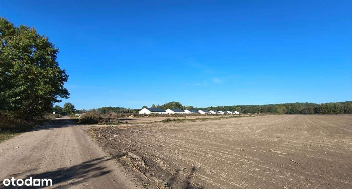 Okazja działka budowlana - Pełny obrazek: 4/6