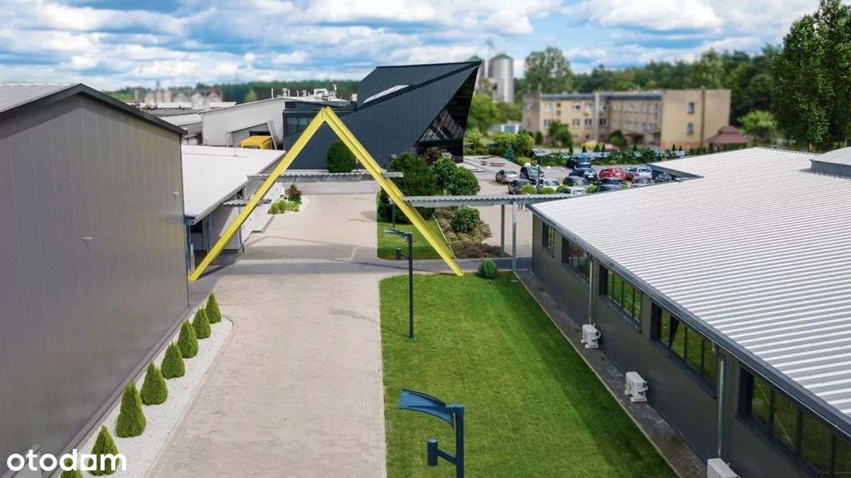 B.wysoki std - produkcja i usługi.-5