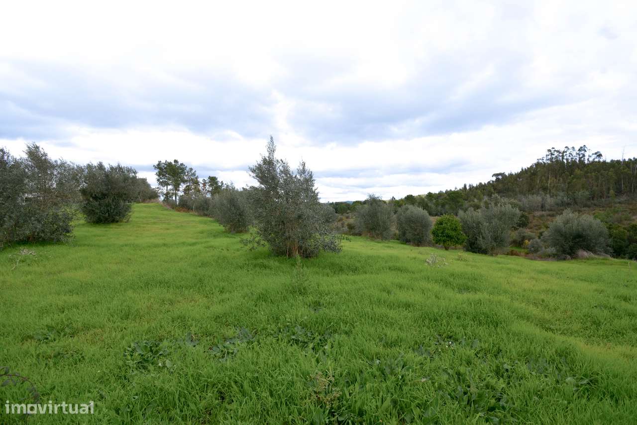 Terreno  Venda em Asseiceira,Tomar-9