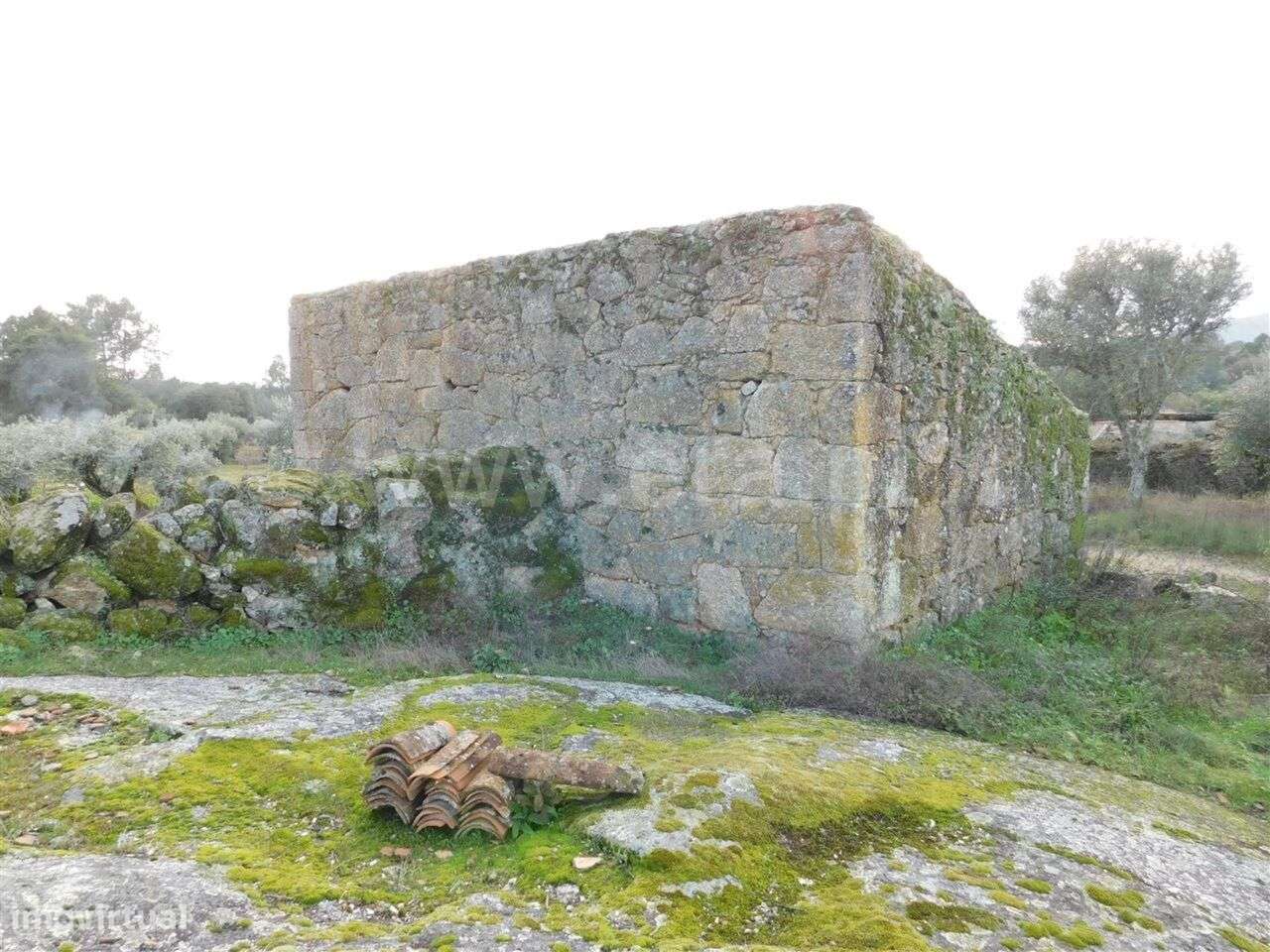 Moradia / Fundão, Alpedrinha - Grande imagem: 2/6