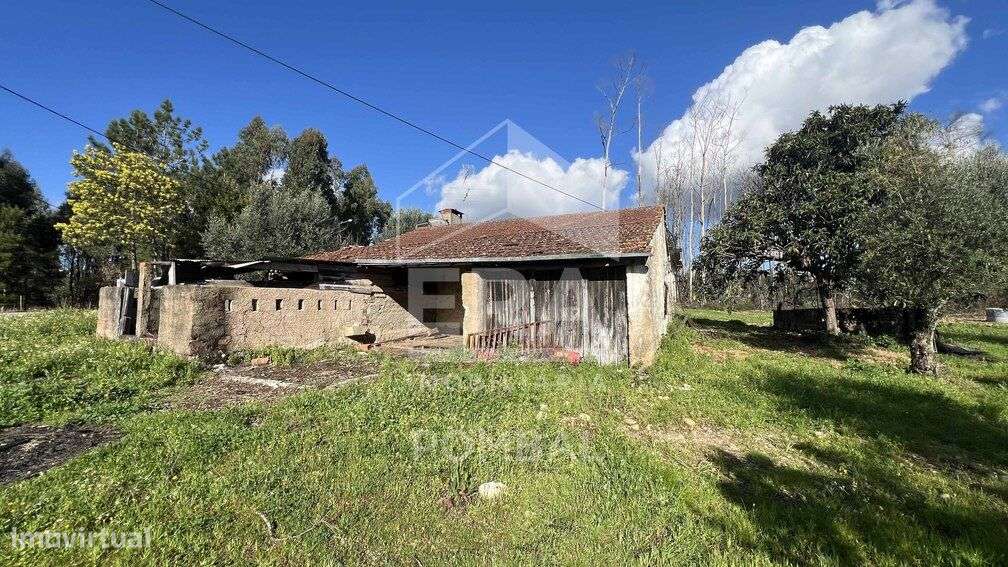 Moradia para restauro, terreno com 2507m2,Freixianda - Grande imagem: 4/22