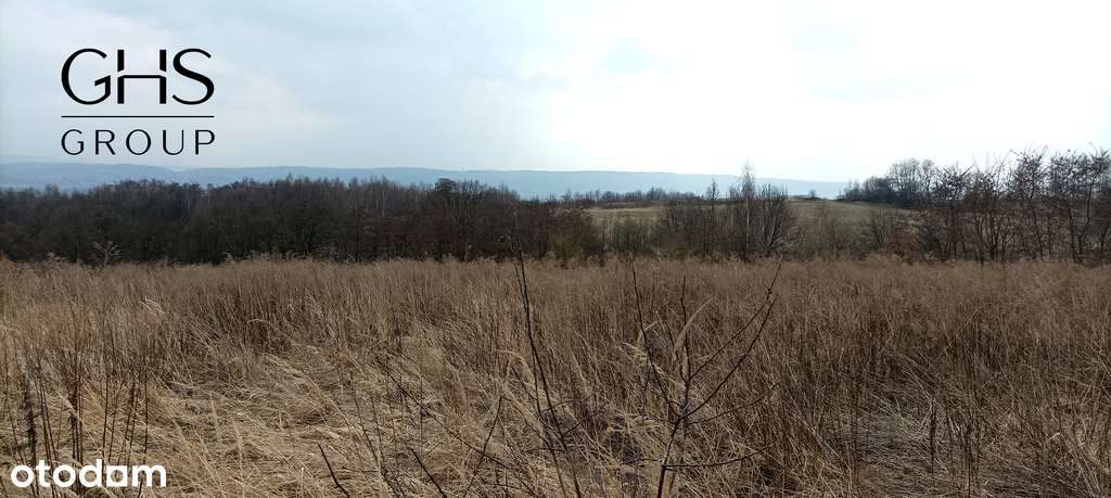 Działka rolna 0,45 Ha Zelków piękna lokalizacja! - Pełny obrazek: 4/5