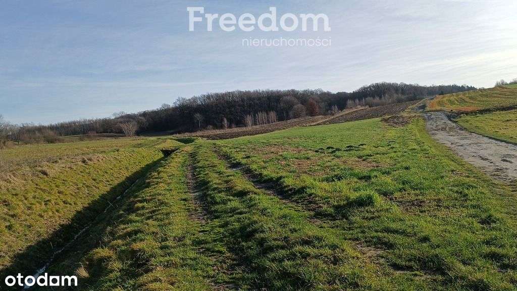 Działki inwestycyjne 43,76a – Rzeszów Słocina-6