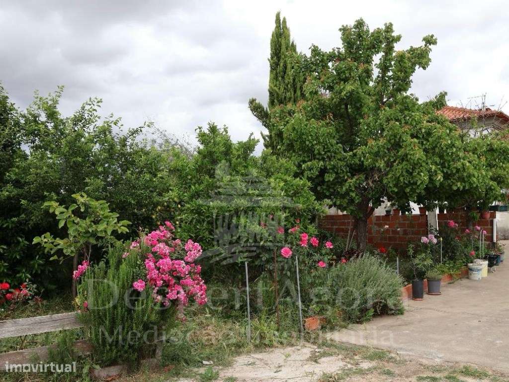 Moradia isolada na Golegã-15