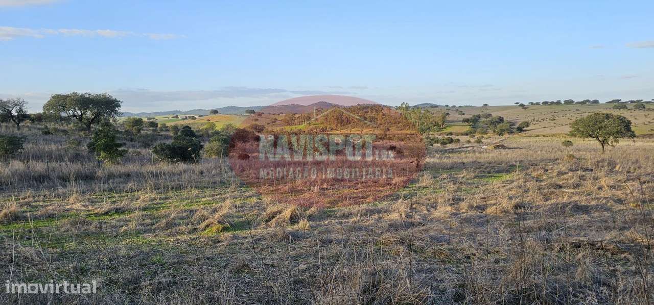 Herdade com 36 ha em Santo António do Baldio-10