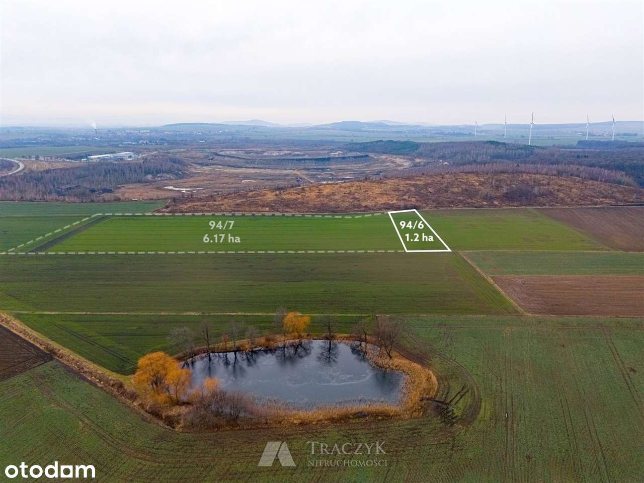 rolna w dobrej cenie Gmina Strzegom - Pełny obrazek: 4/15