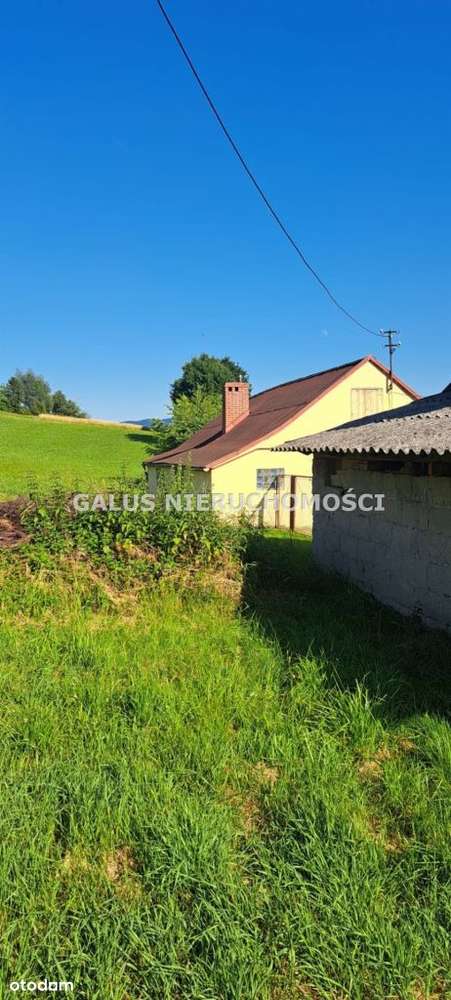 Działka rolna 2,5200 Ha i gospodarstwo-15