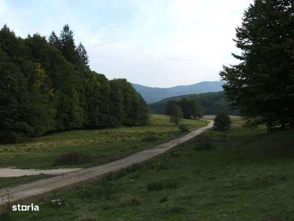 Teren intravilan Proiectul Trestioara langa Brasov - Imagine principală: 5/5